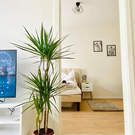 Stilvolles Apartment In Zentraler Lage - Smart-Tv, Queensize-Bett, Altbaustil, Kueche In City-Naehe Erfurt Eksteriør billede
